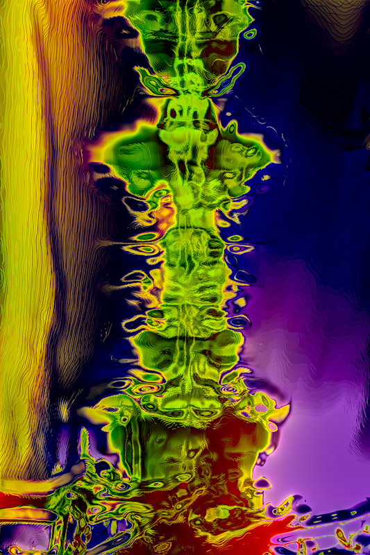 Tanja Martina Federl